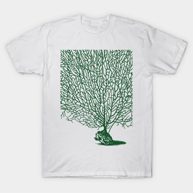 Green Sea Fan Coral T-Shirt by pelagio